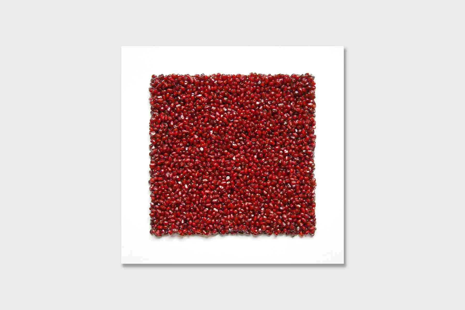 POM 05
