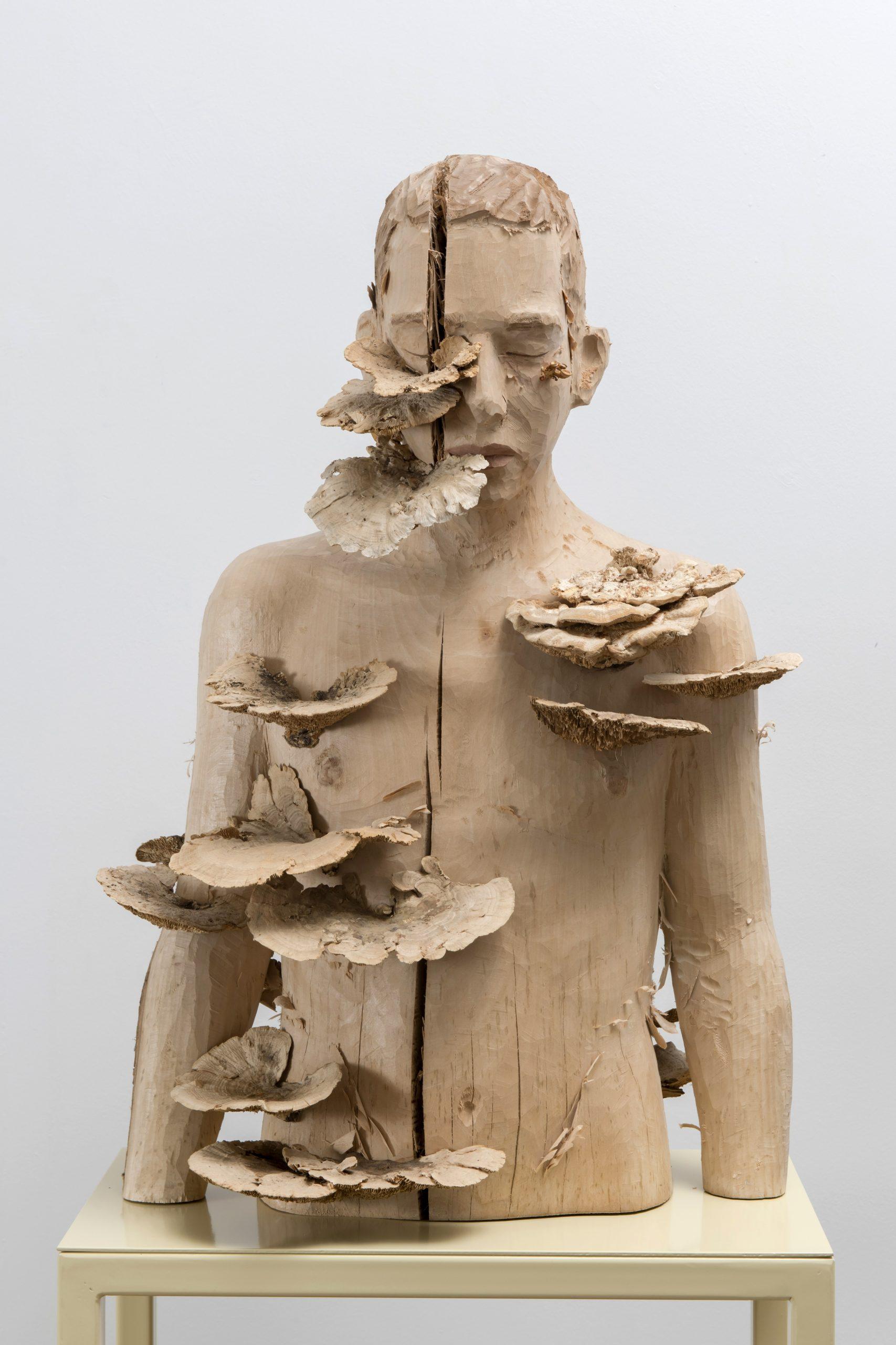 Untitled (Surrender)