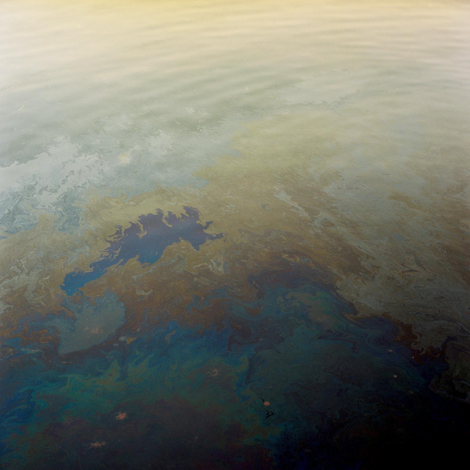 Oil