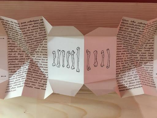Lorem İpsum III. II 2