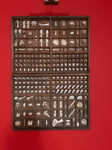 Lorem Ipsum III.IV - Nadir Kabin