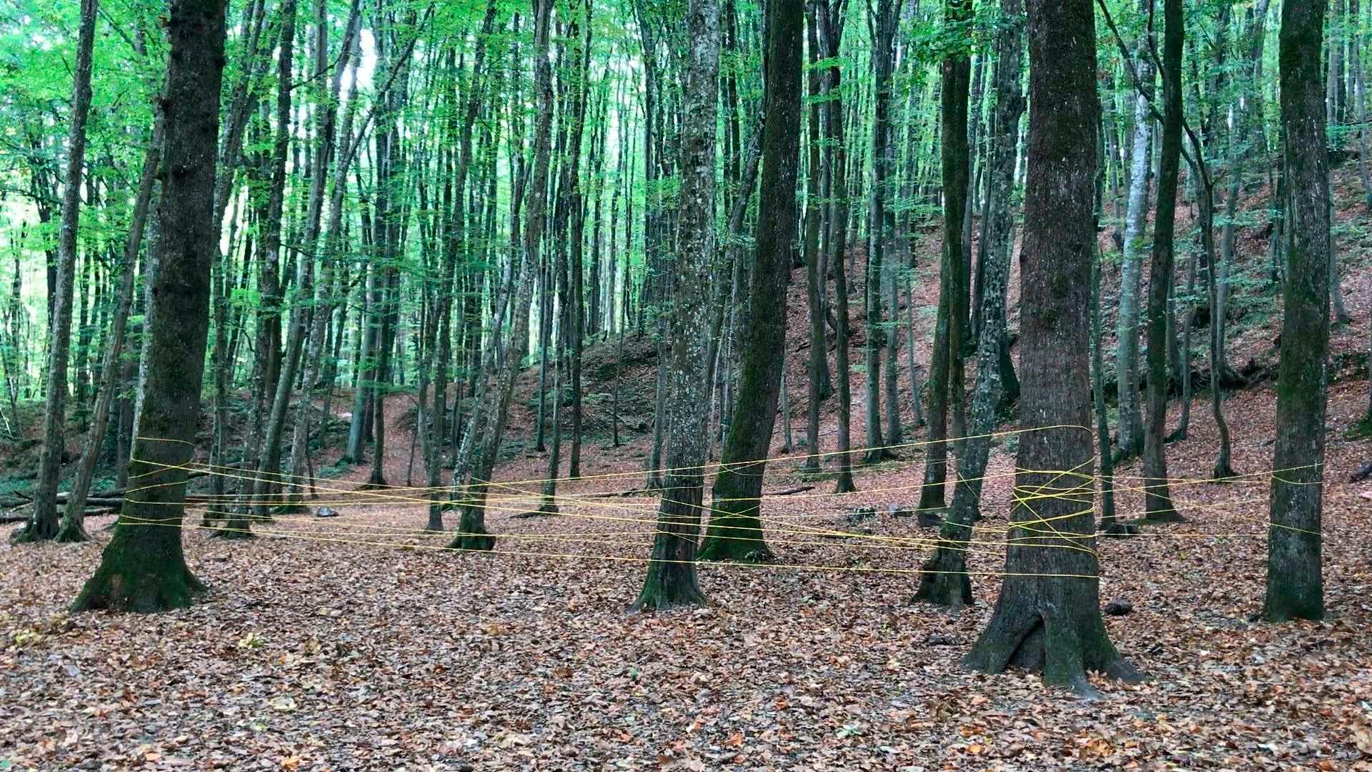 Belirsizlik Noktaları II