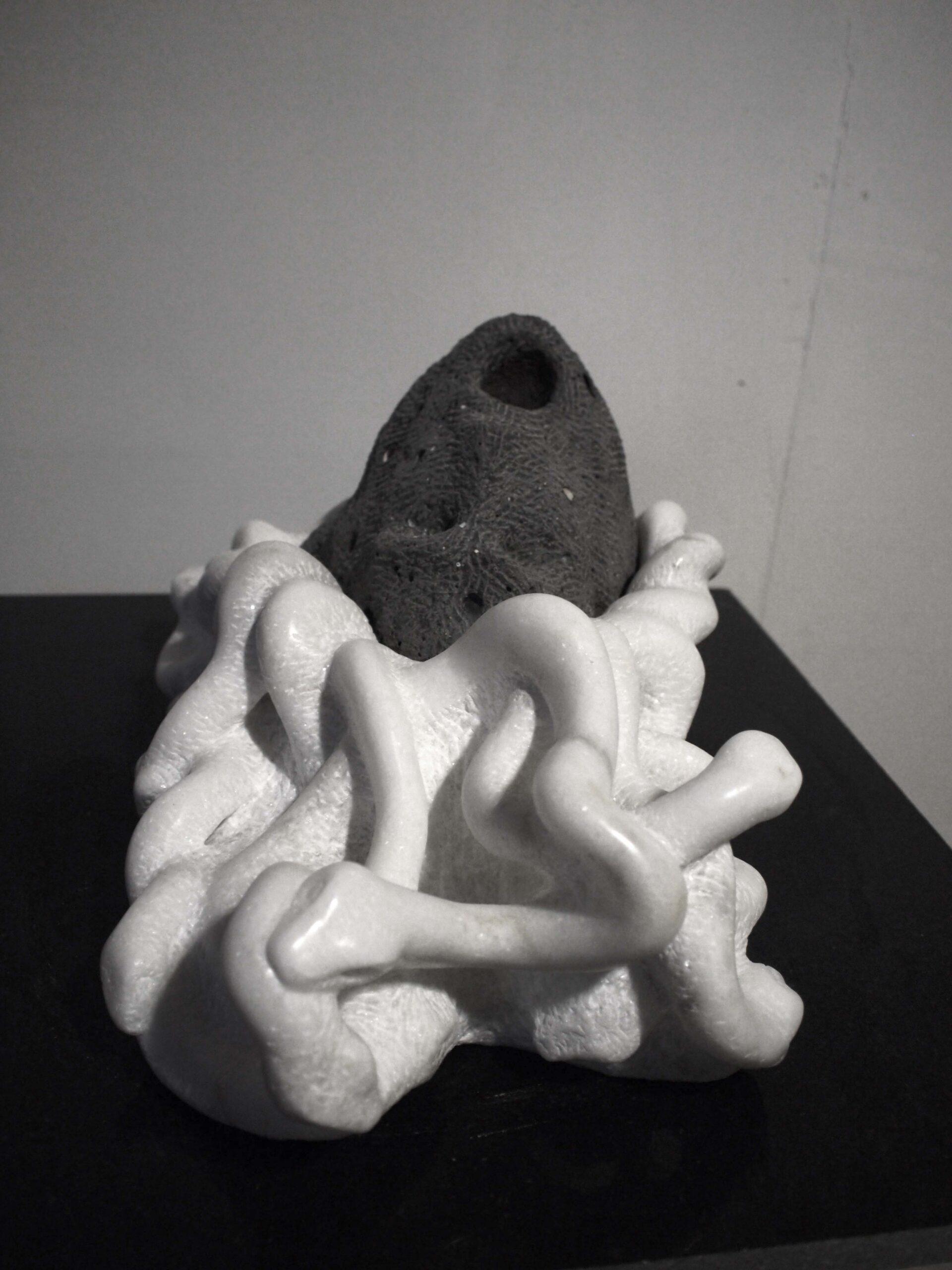 Medusa 2