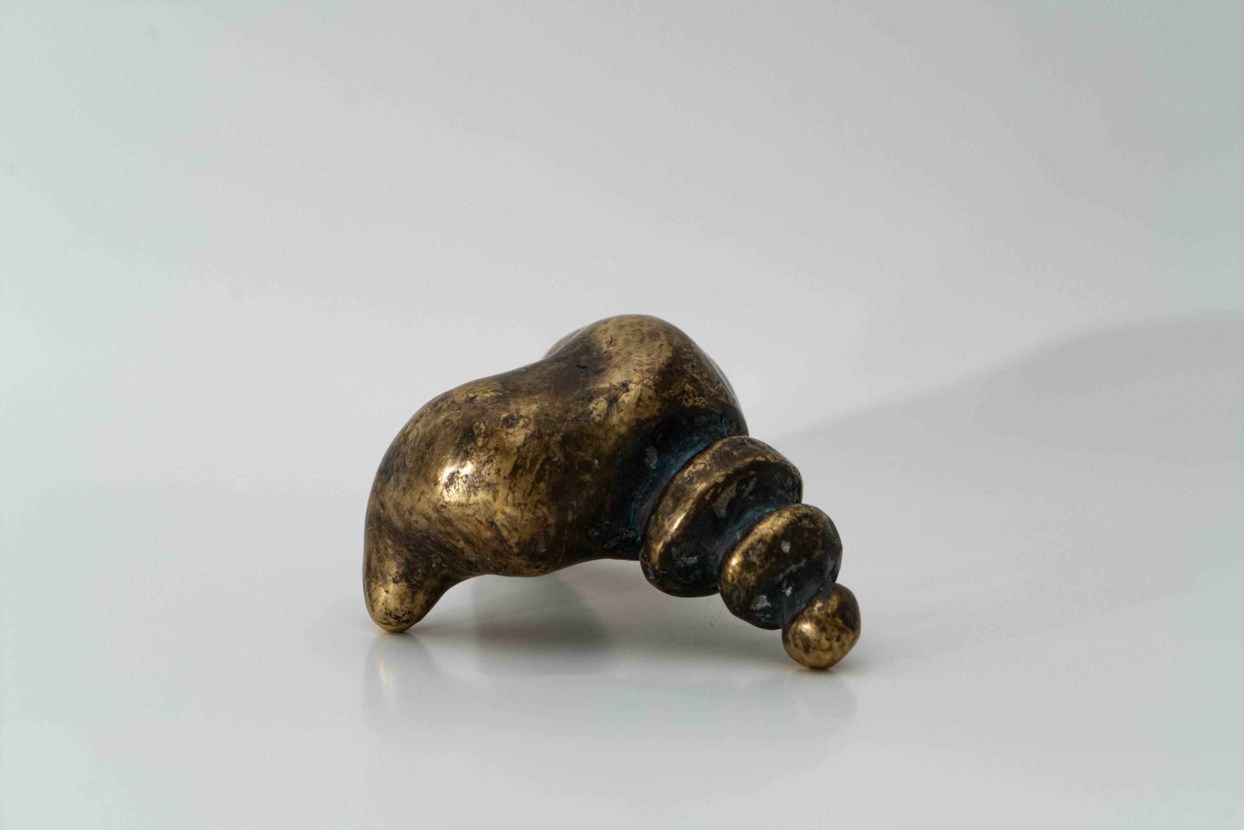 Kuyruk Sokumu