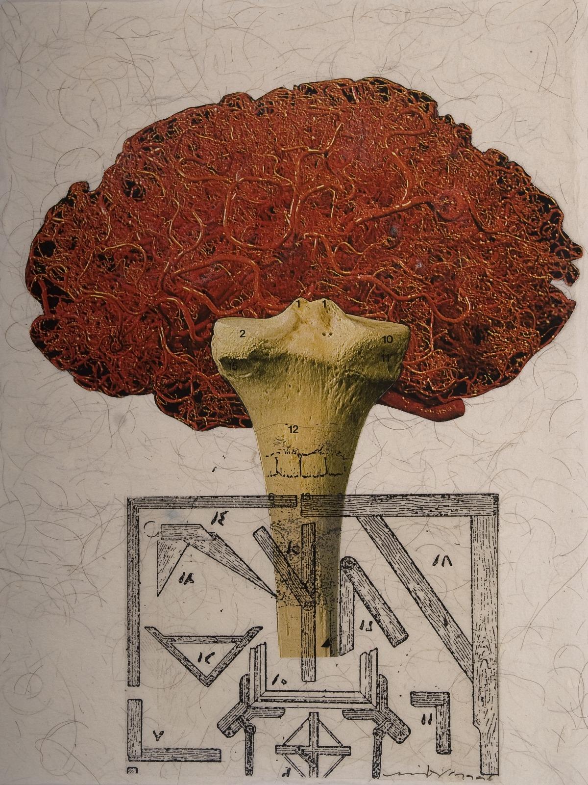 Düş Resimleri II