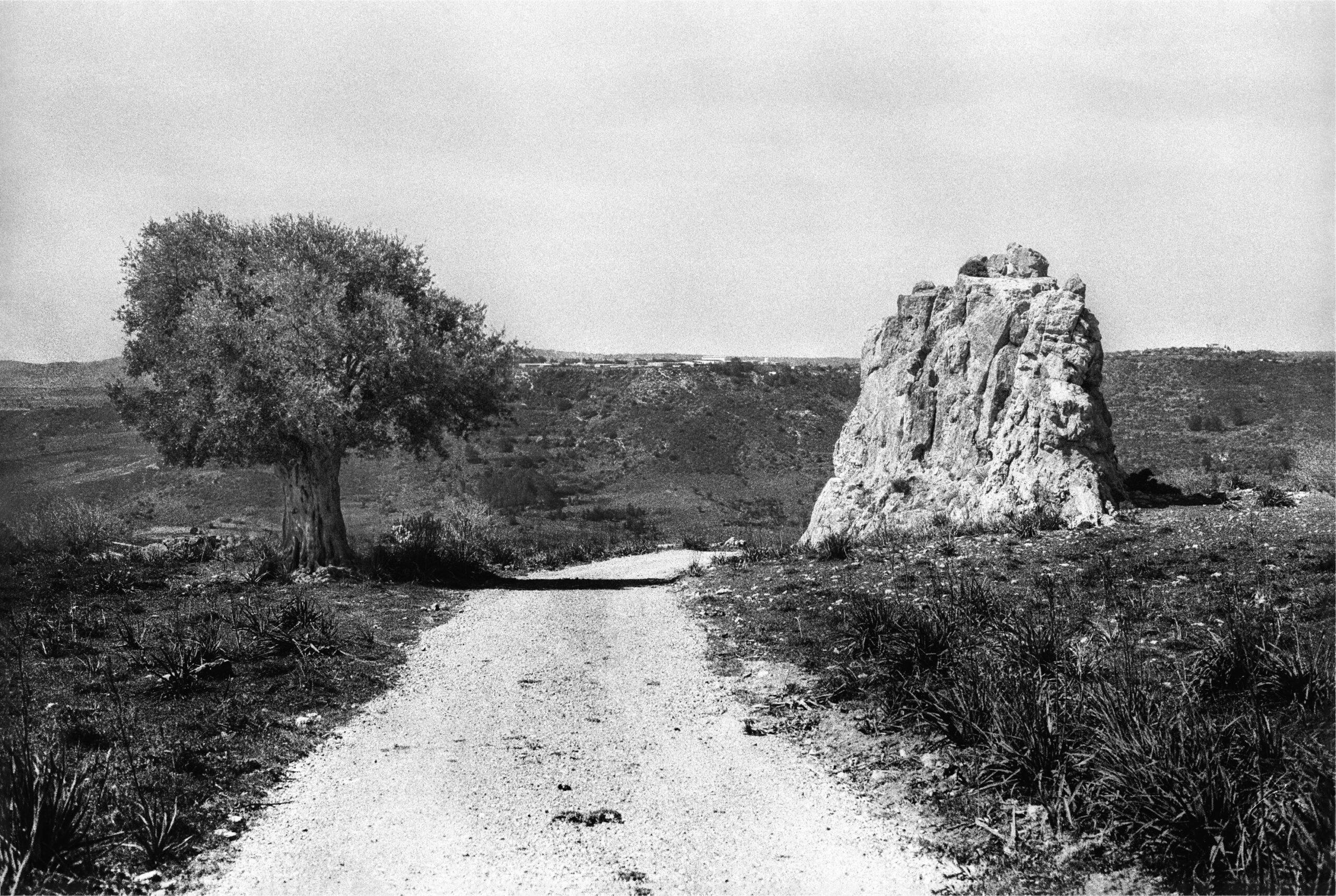 Tumult 031 Cyprus