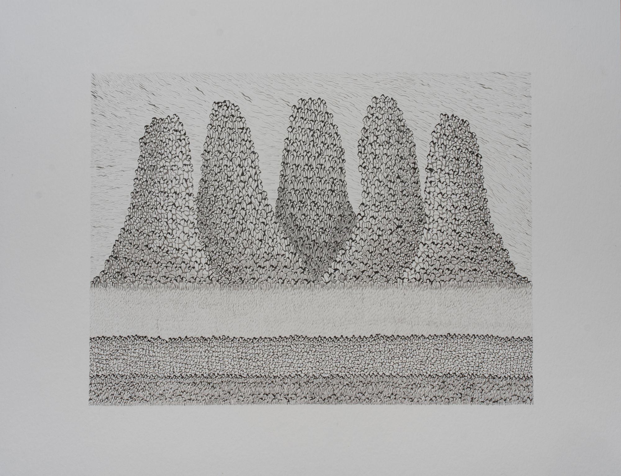 LANDCSAPE SERIES