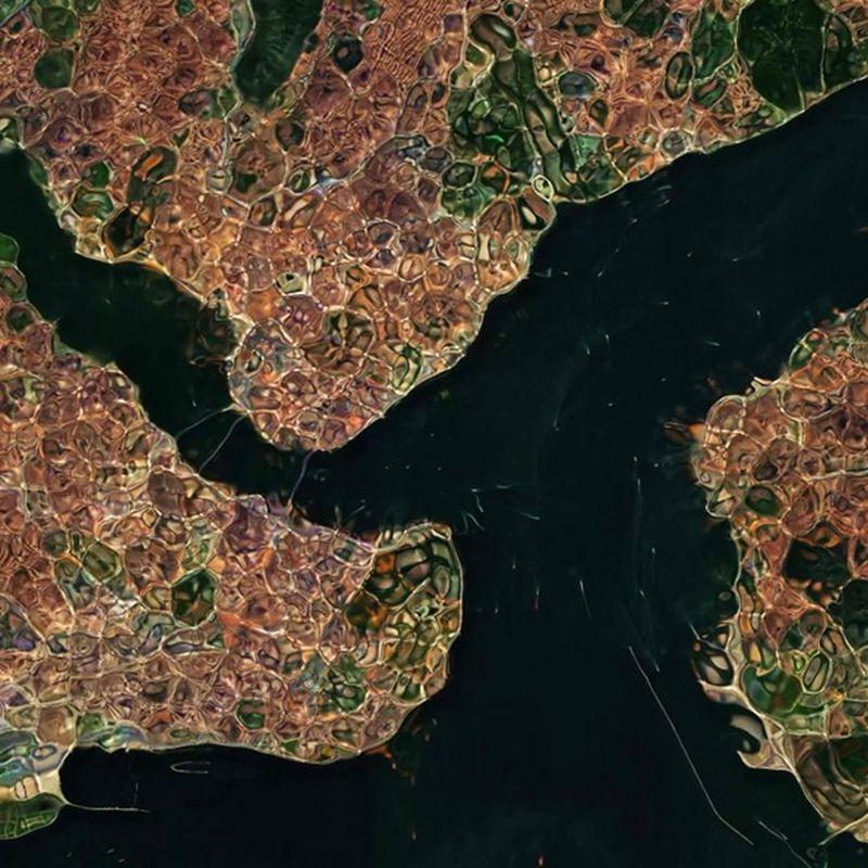 Skin İstanbul 2