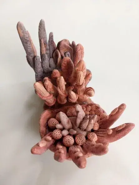 The Pink of Garden Venus III 2