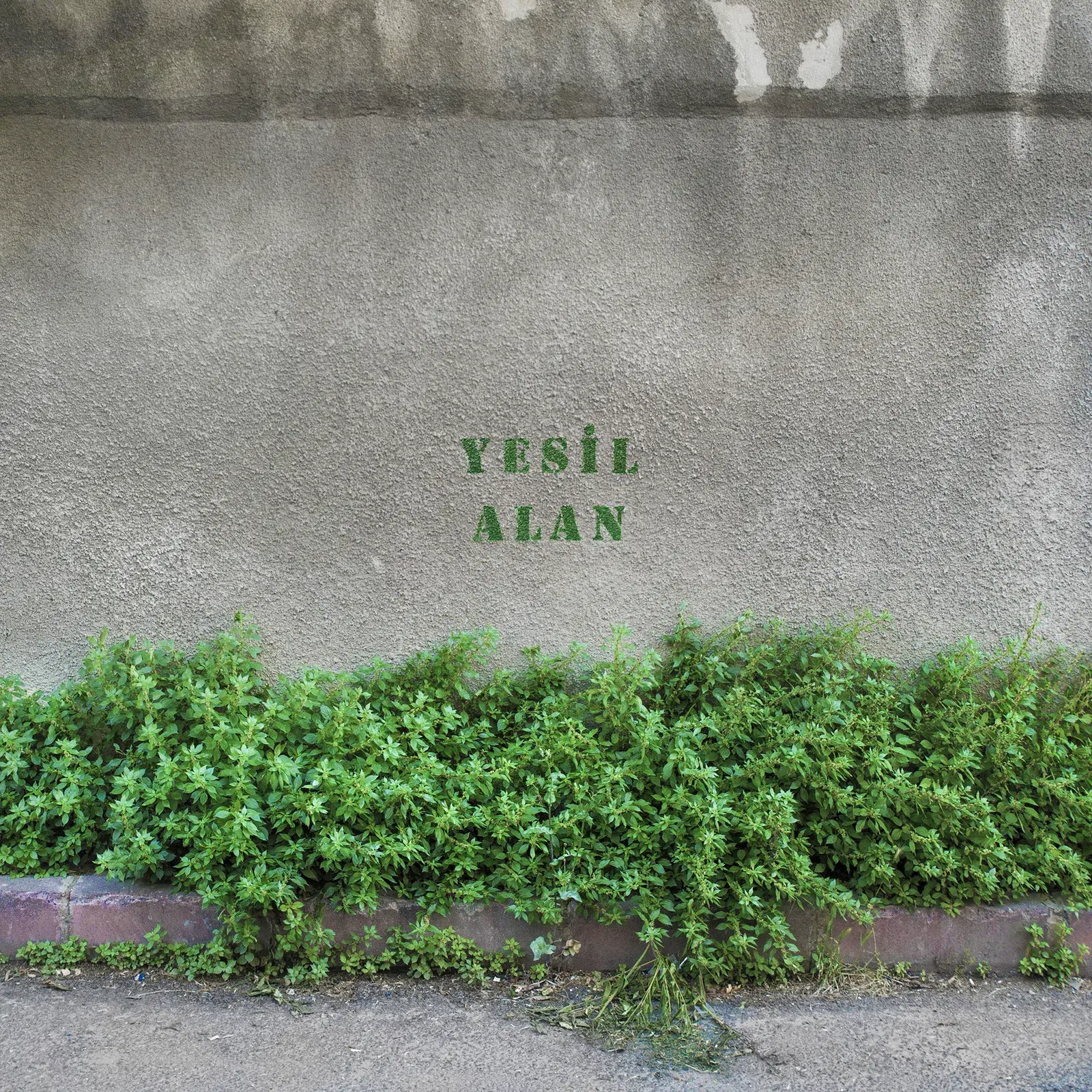 Yeşil Alan