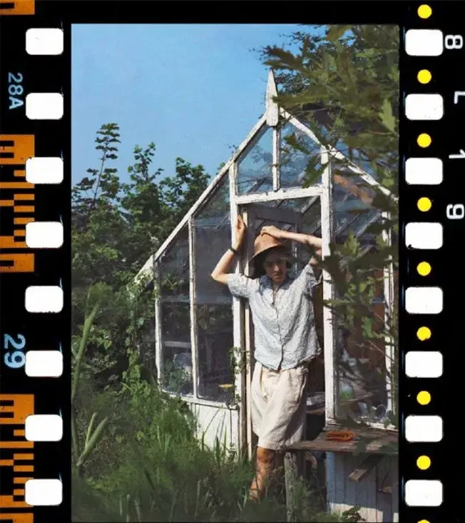 Self Portrait, Greenhouse