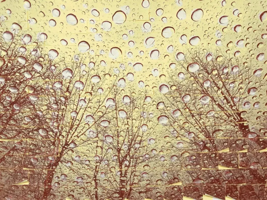 Rain Drop