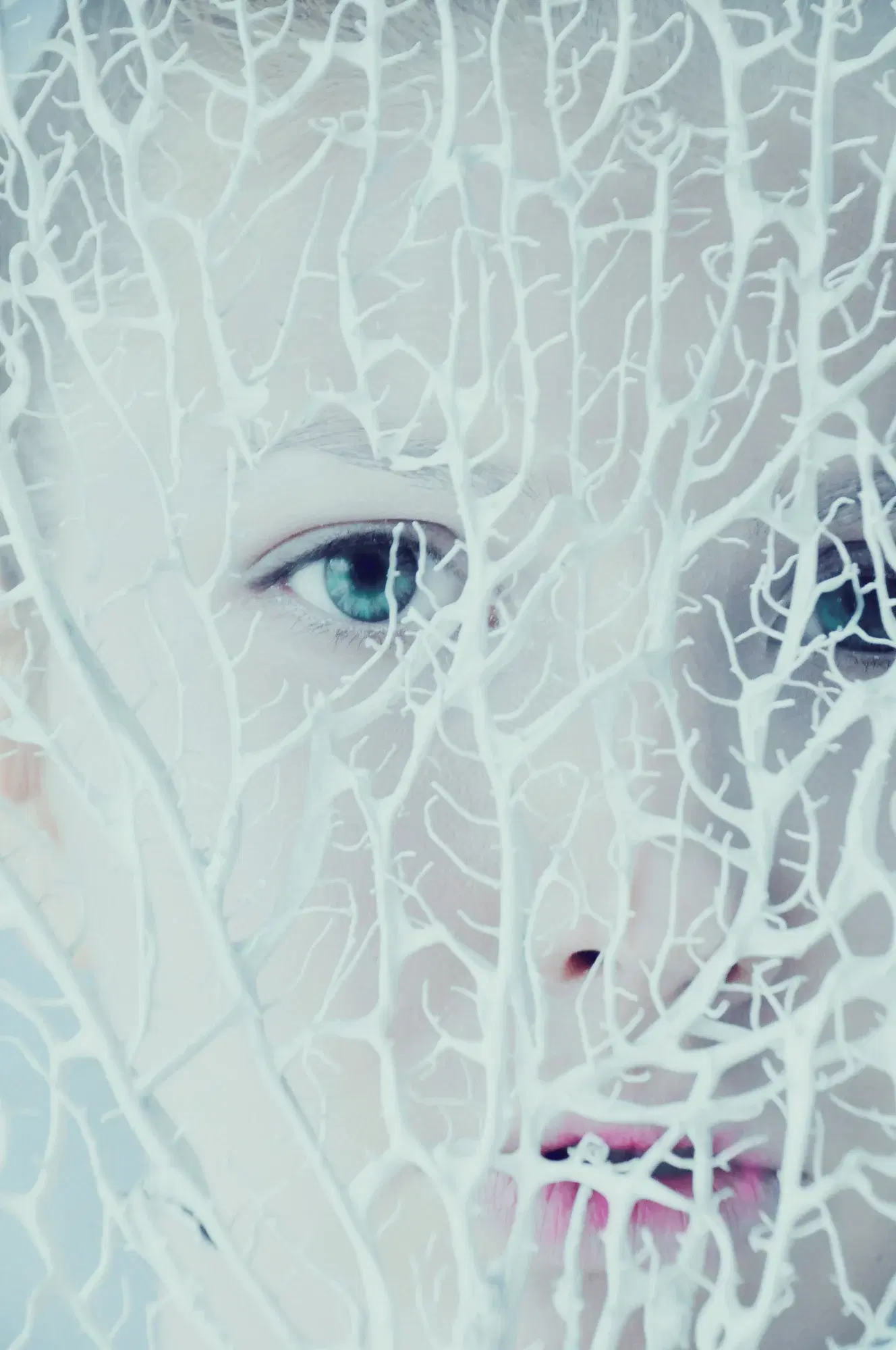 Ice