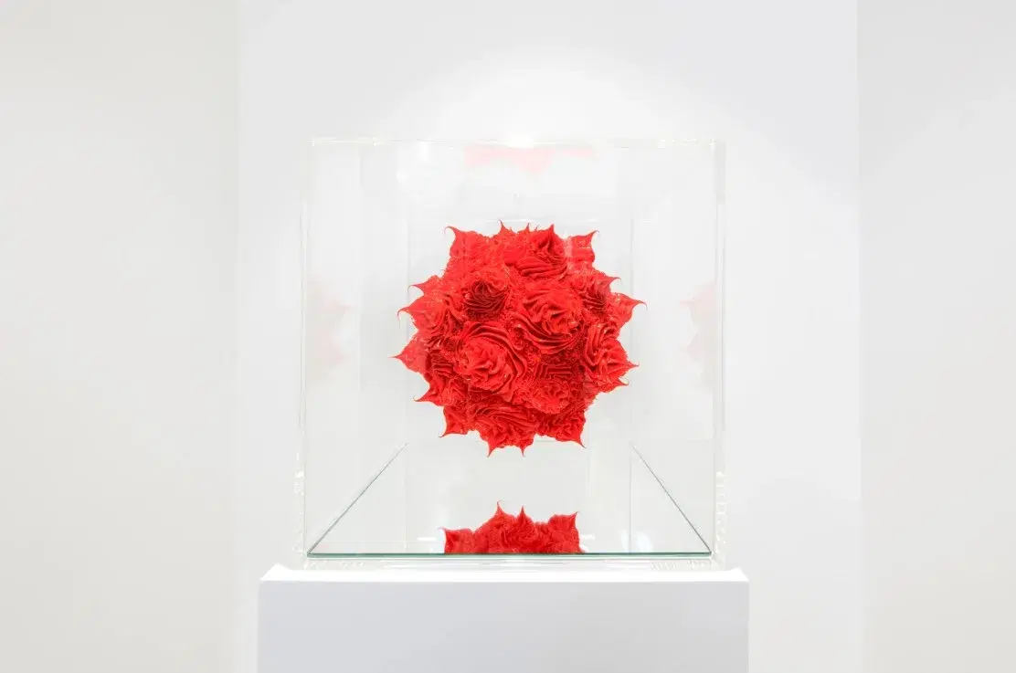 Die Polle (red)