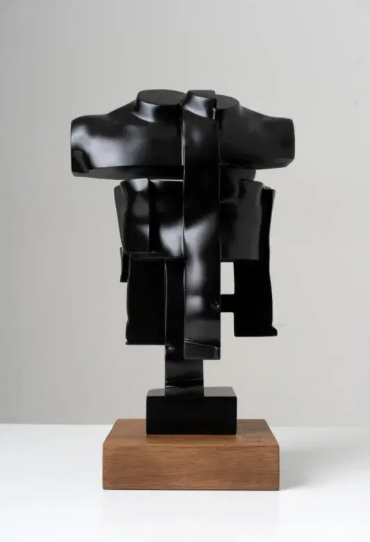 Torso