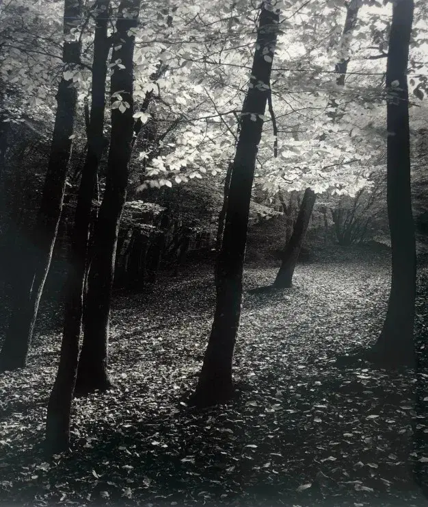 Belgrad