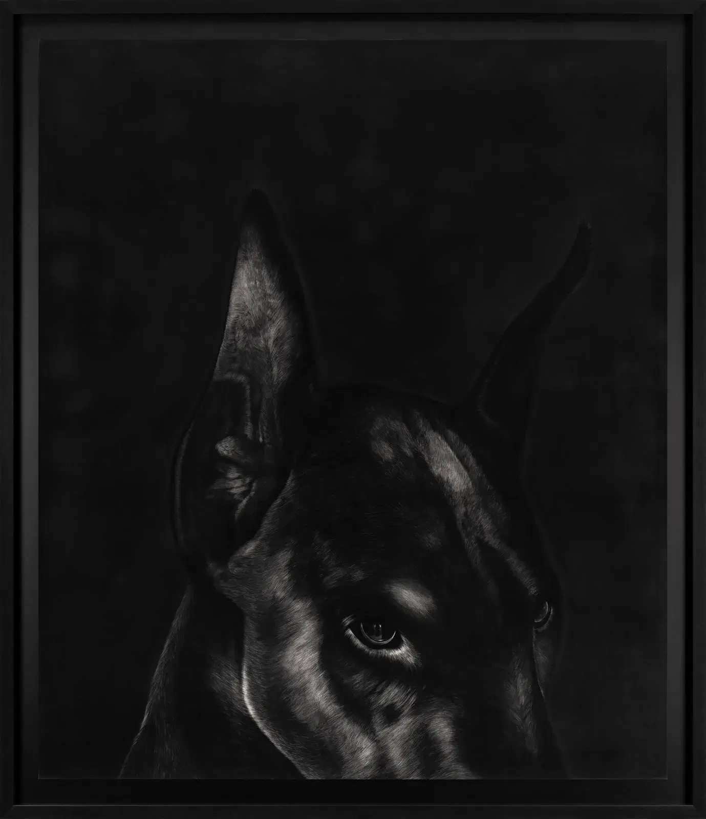 Midnight Sentinel