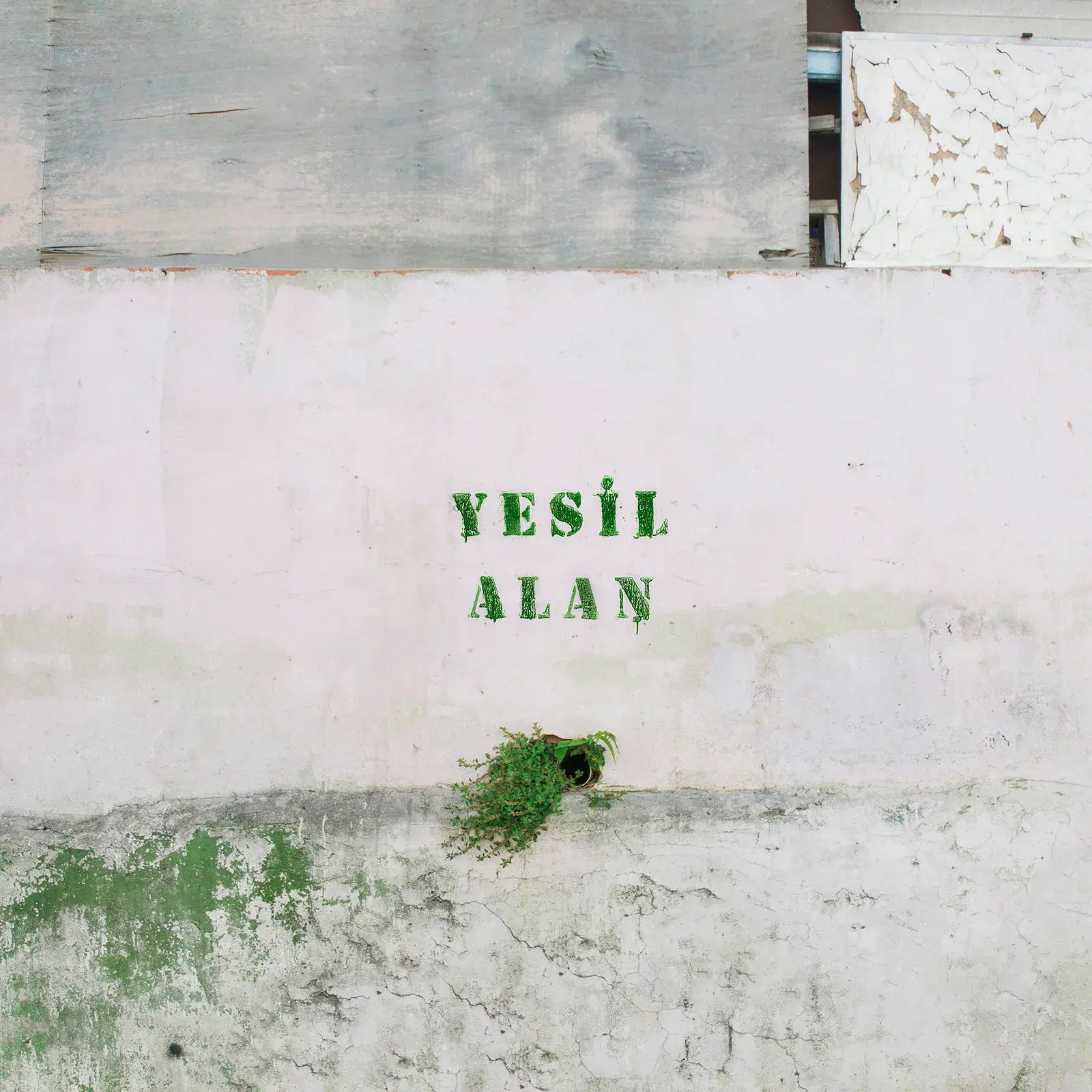 Yeşil Alan