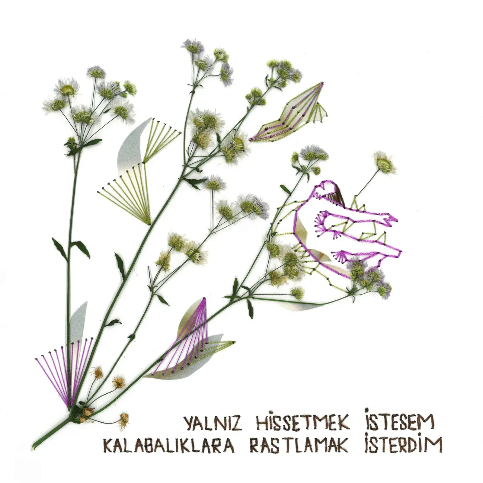 Yalnız Hissetmek İstesem Kalabalıklara Rastlamak İsterdim