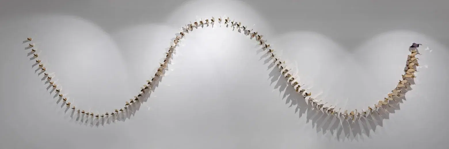 70 Paper Planes Simultaneously Hitting the Wall 2
