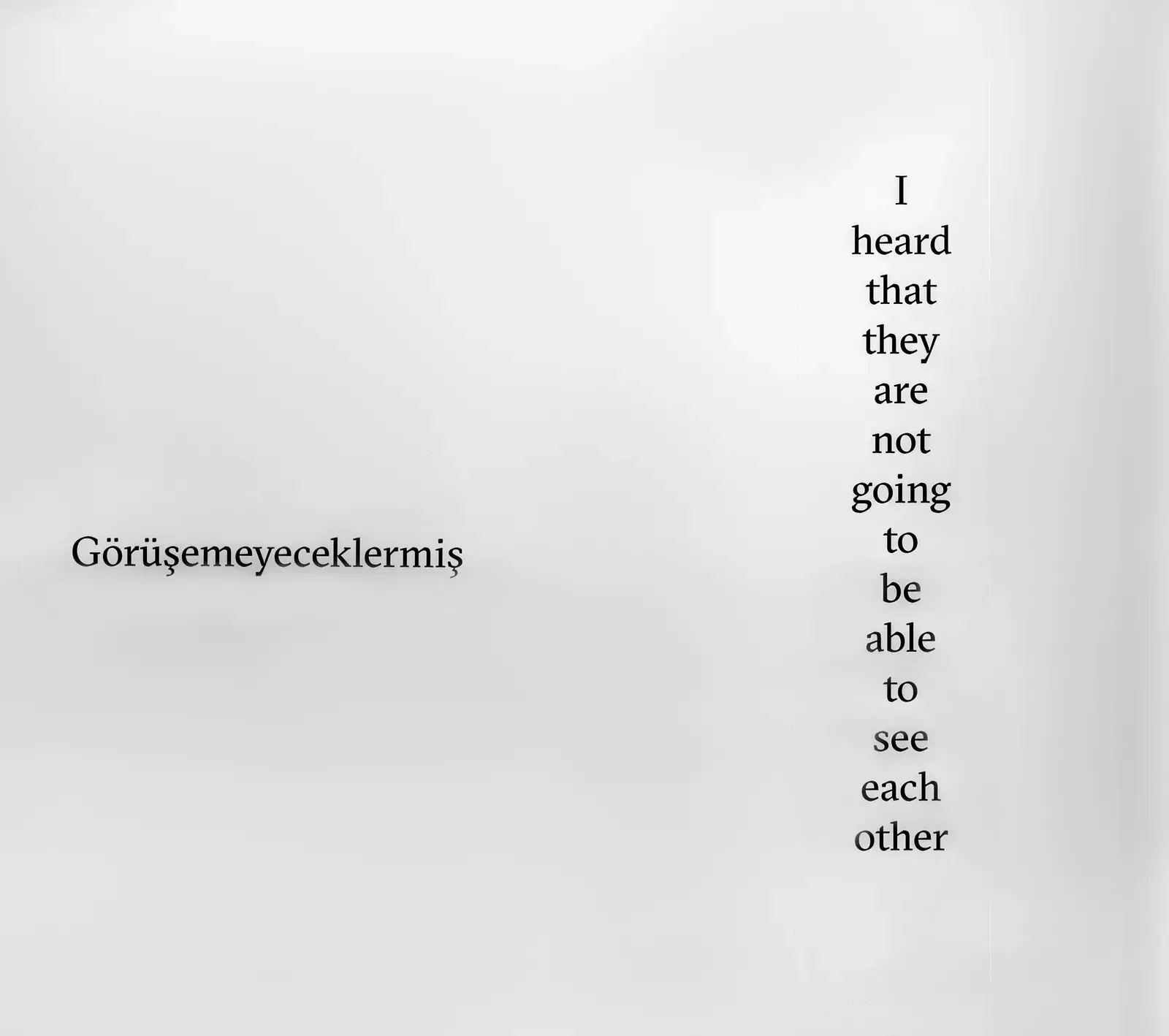 'Görüşemeyeceklermiş'', Çeviri Serisi
