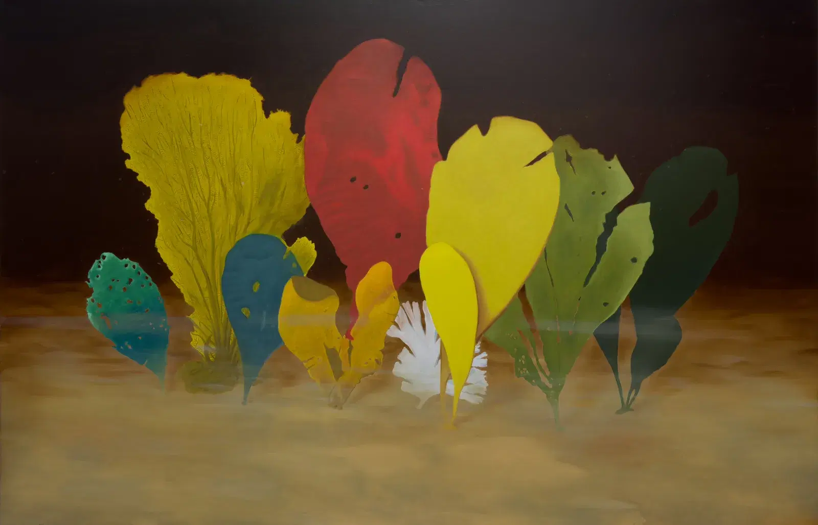 Seaweeds