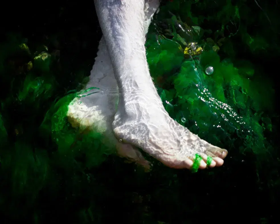 Salınarak Ayakların (Fathom Series)