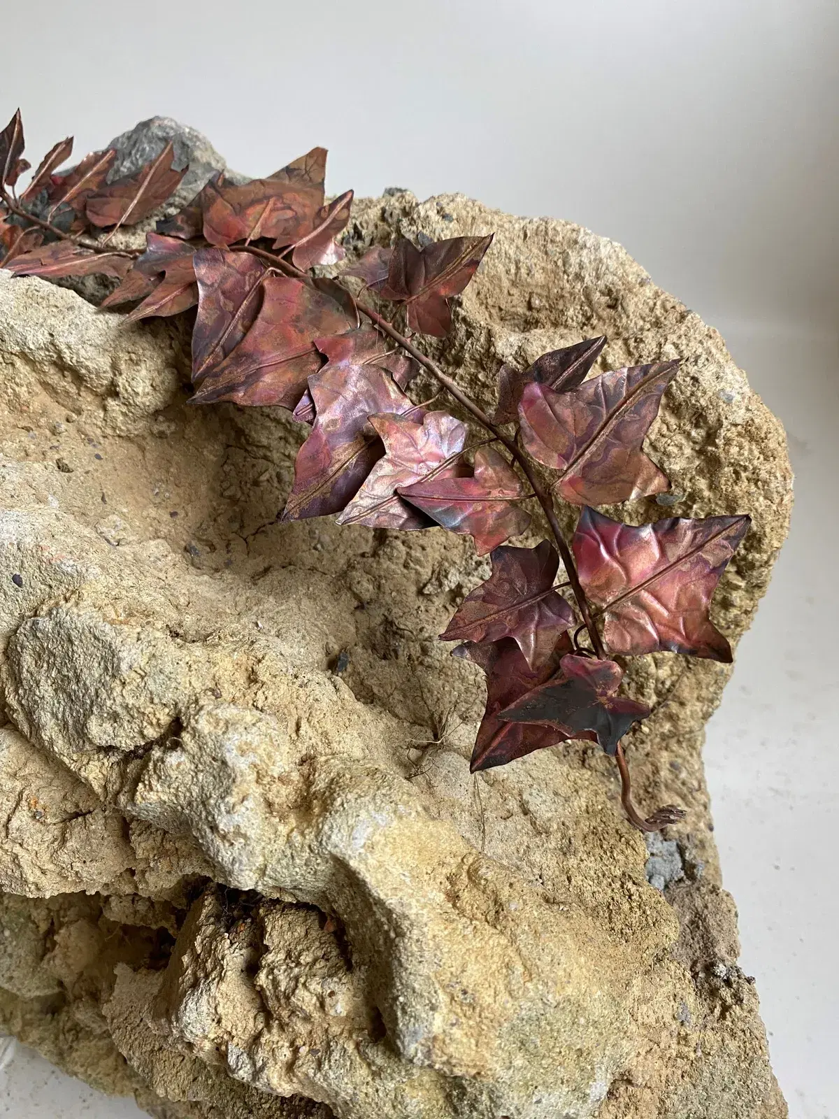 Hafriyat: Kendi Halinde “Bitkilenme”, Orman Sarmaşığı (Hedera Helix) 2
