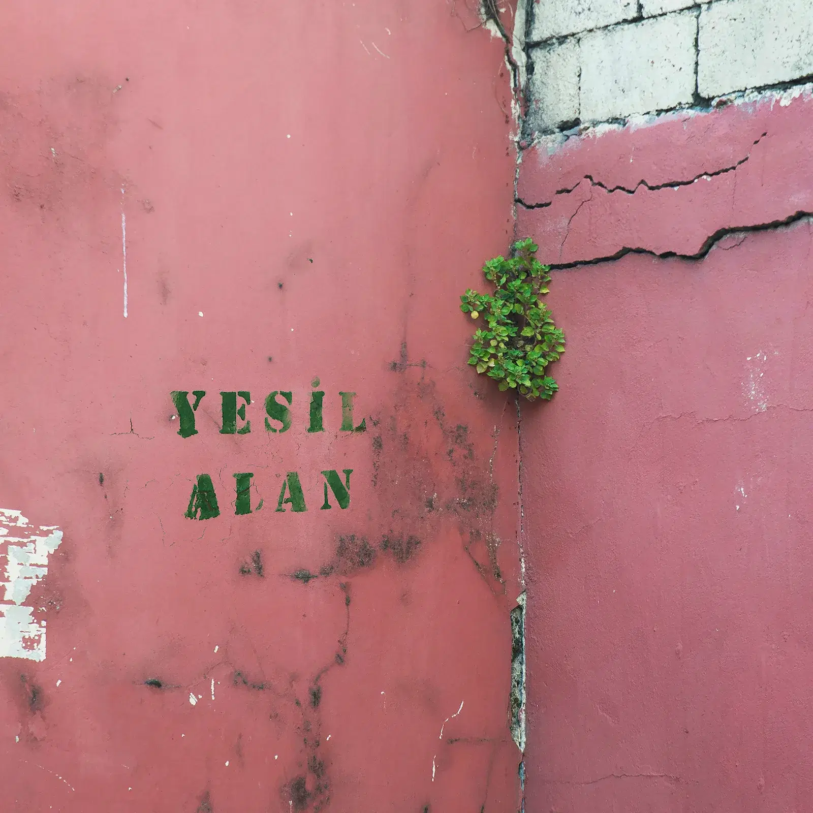 Yeşil Alan
