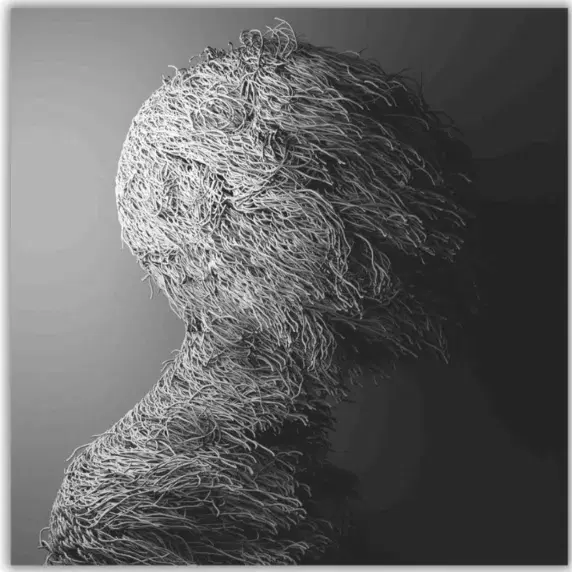 Fur I: Variations I