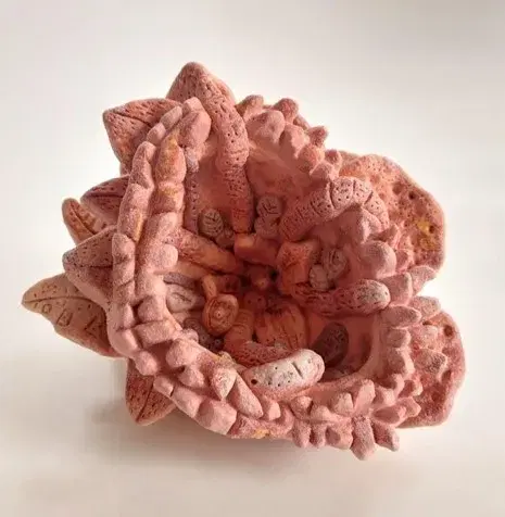The Pink of Garden Venus VII