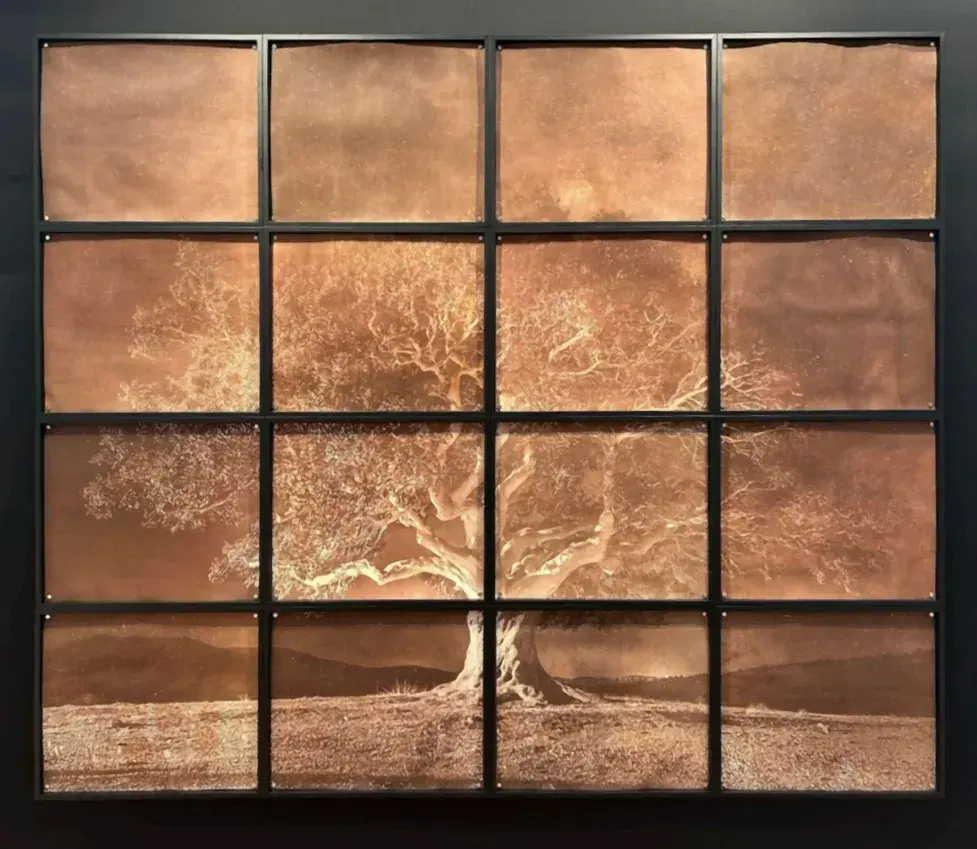 Rooted Fragments
