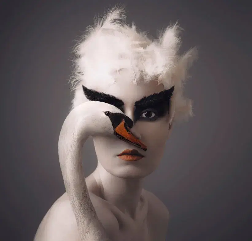 Swan