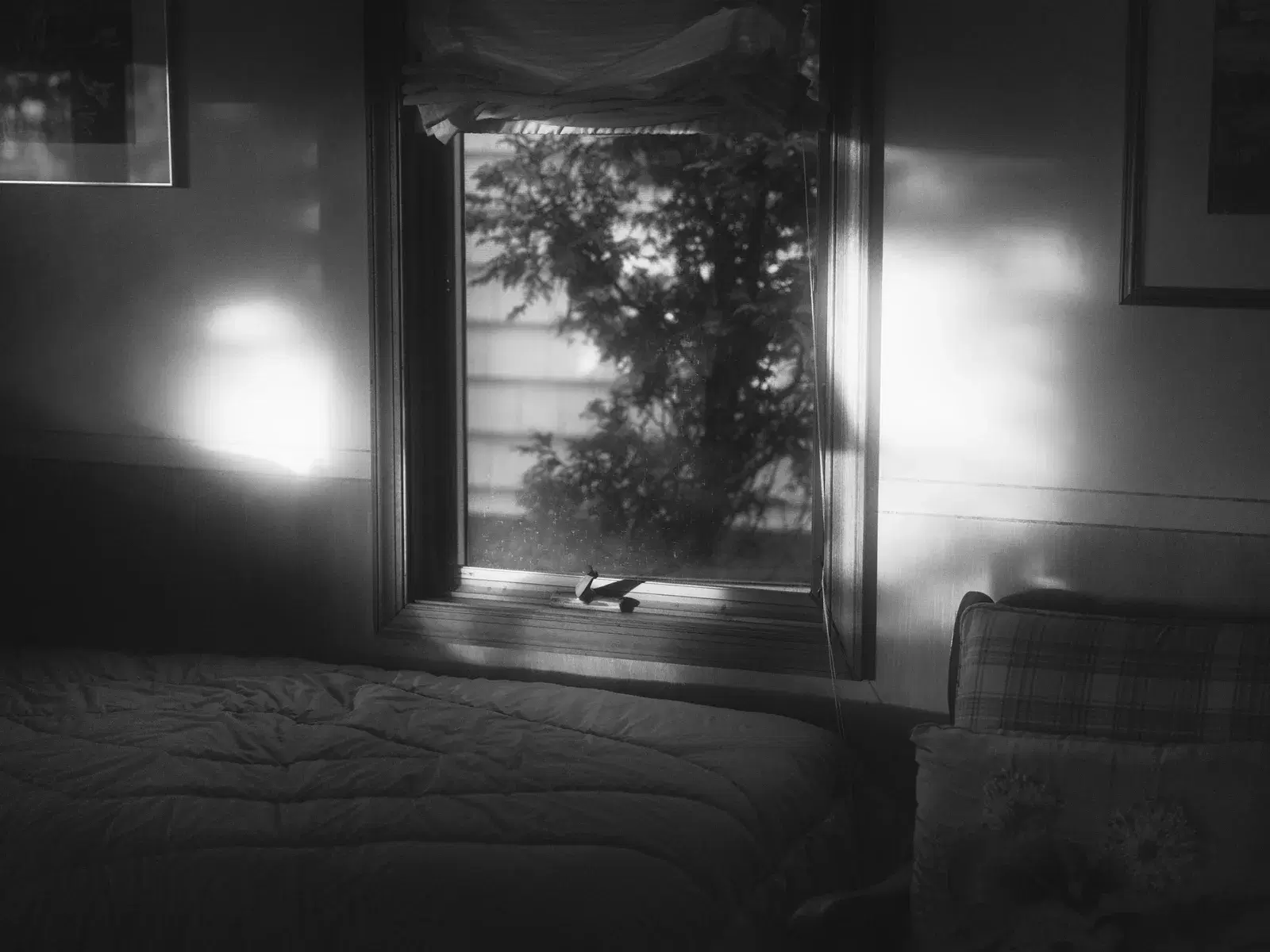 Light After Lament