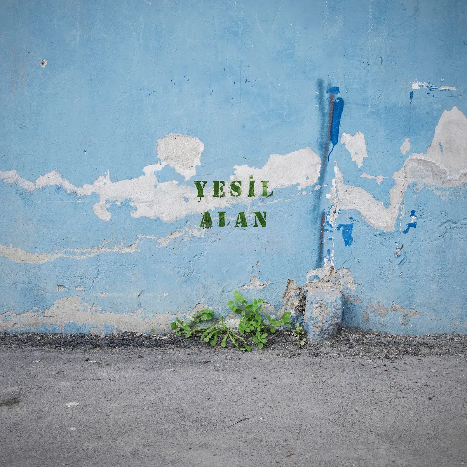 Yeşil Alan