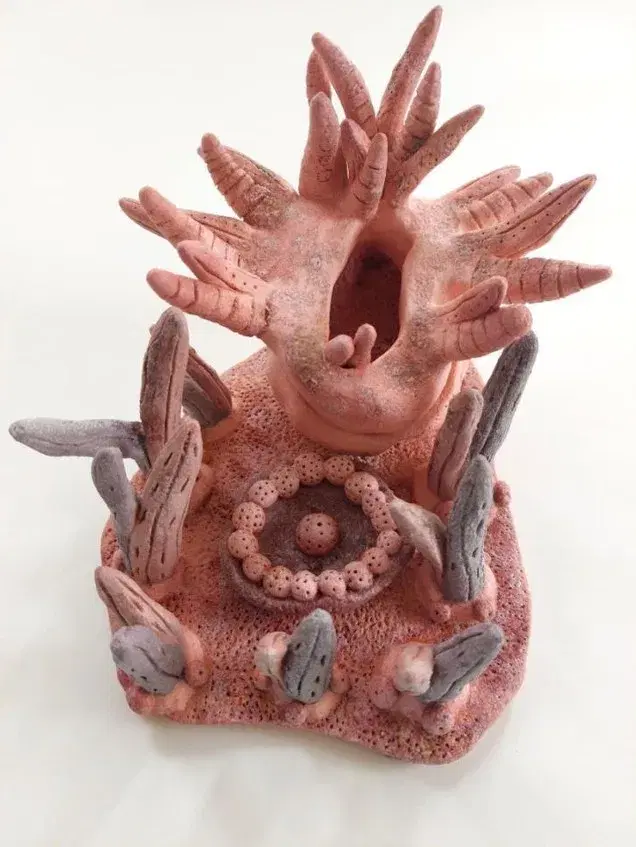 The Pink of Garden Venus IX
