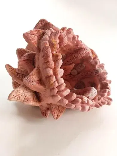 The Pink of Garden Venus VII 3