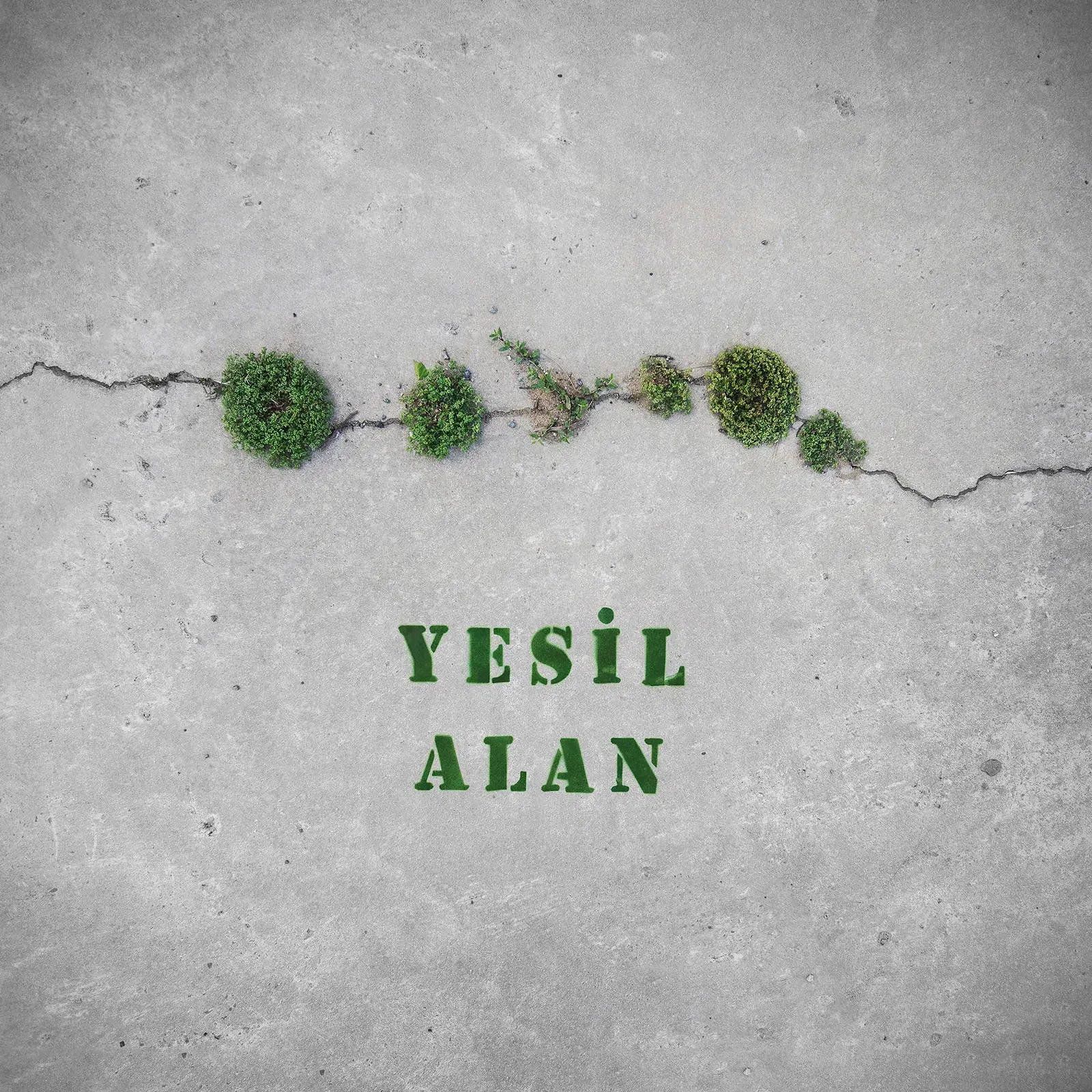 Yeşil Alan