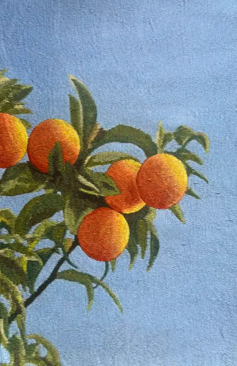 Orange Tree 36
