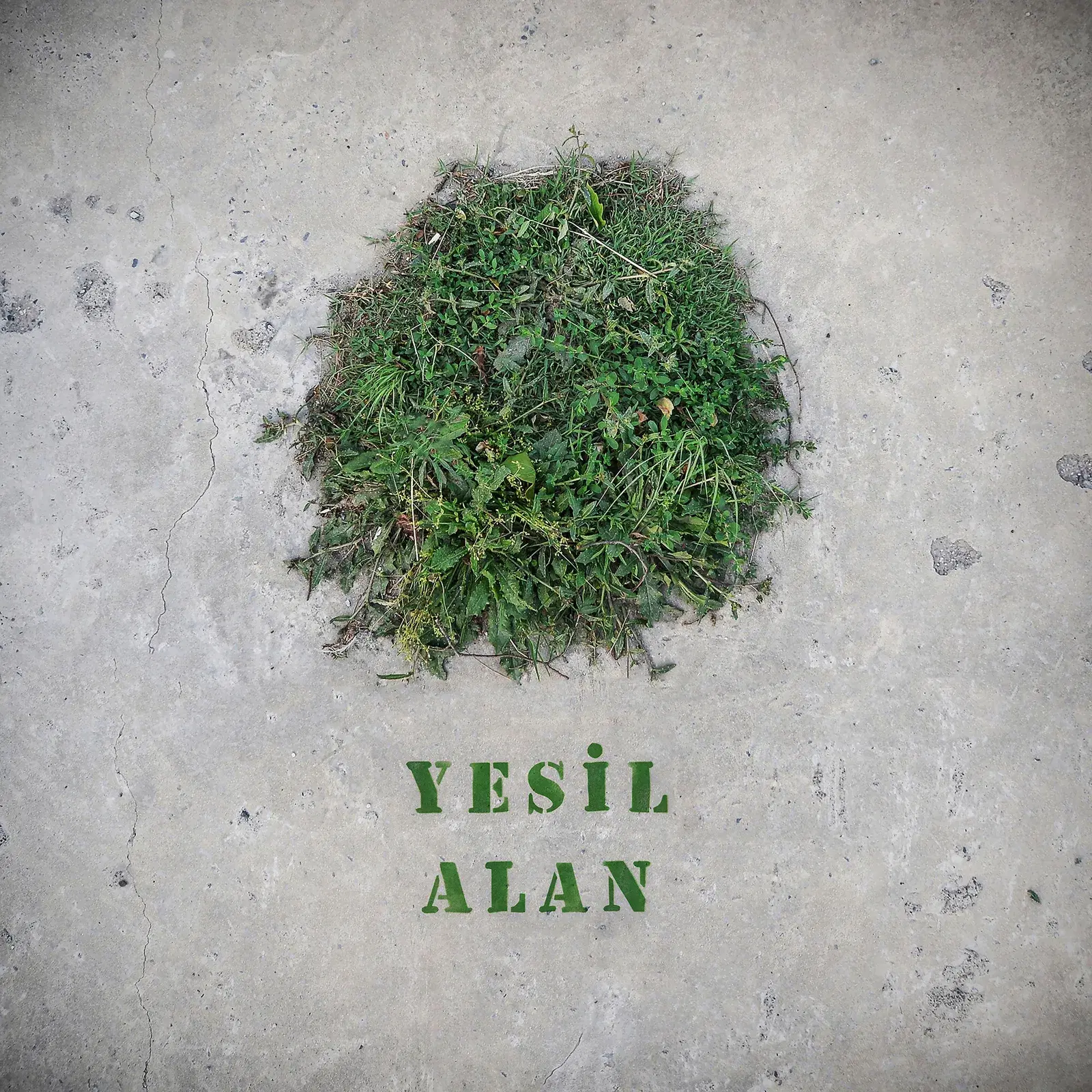 Yeşil Alan