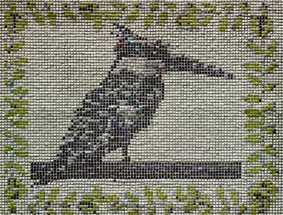 The Pied Kingfisher