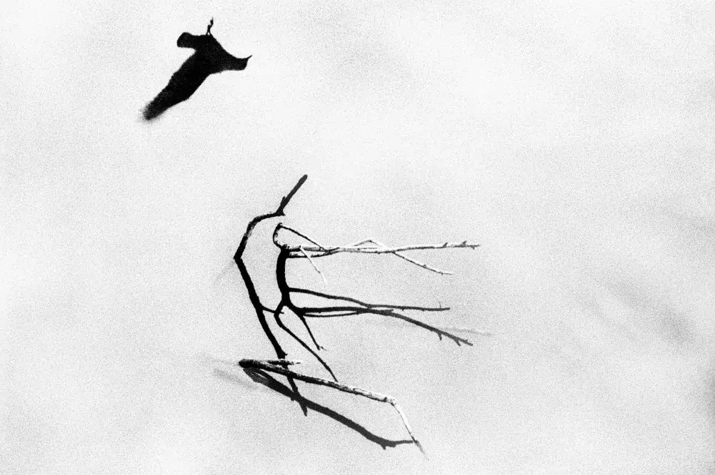 Tumult 037 Istanbul