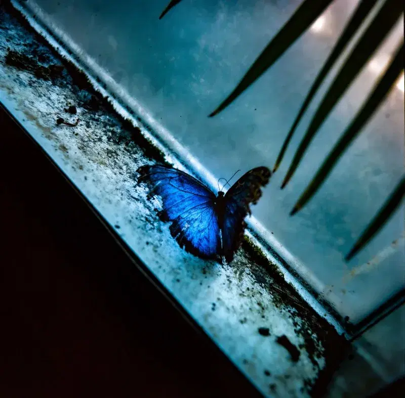 Bir Gün Mü Yoksa? (Fathom Series)