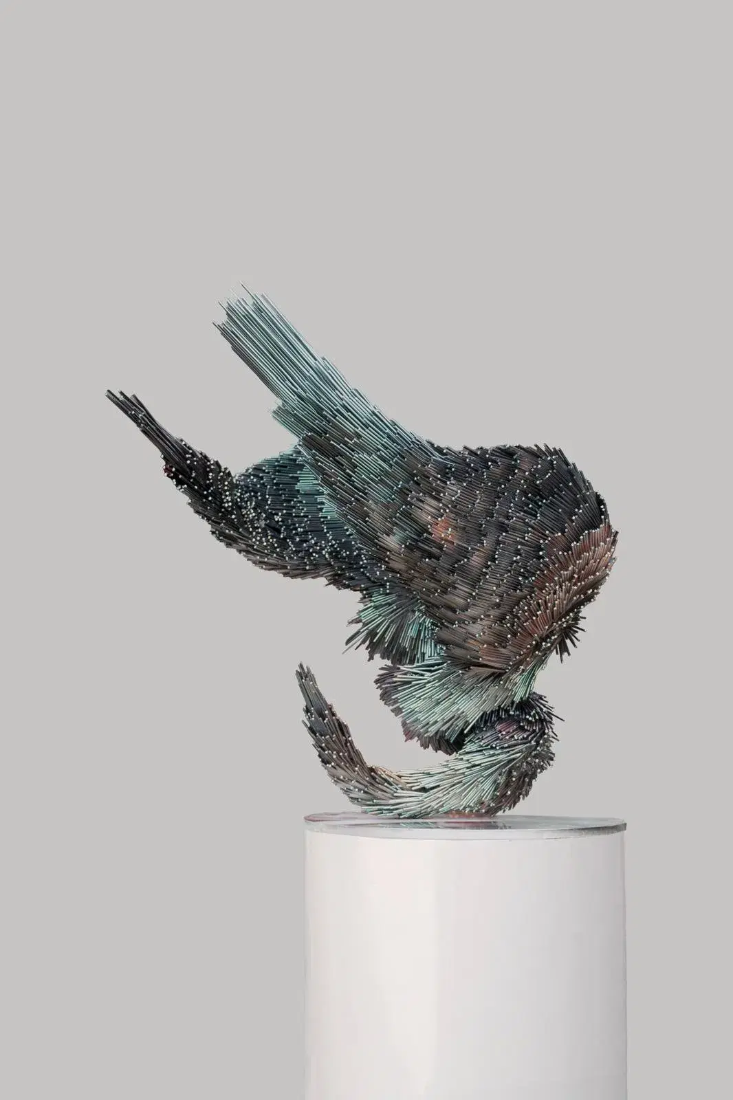 Tidal Murmur
