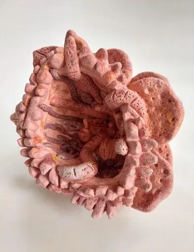 The Pink of Garden Venus VII 2