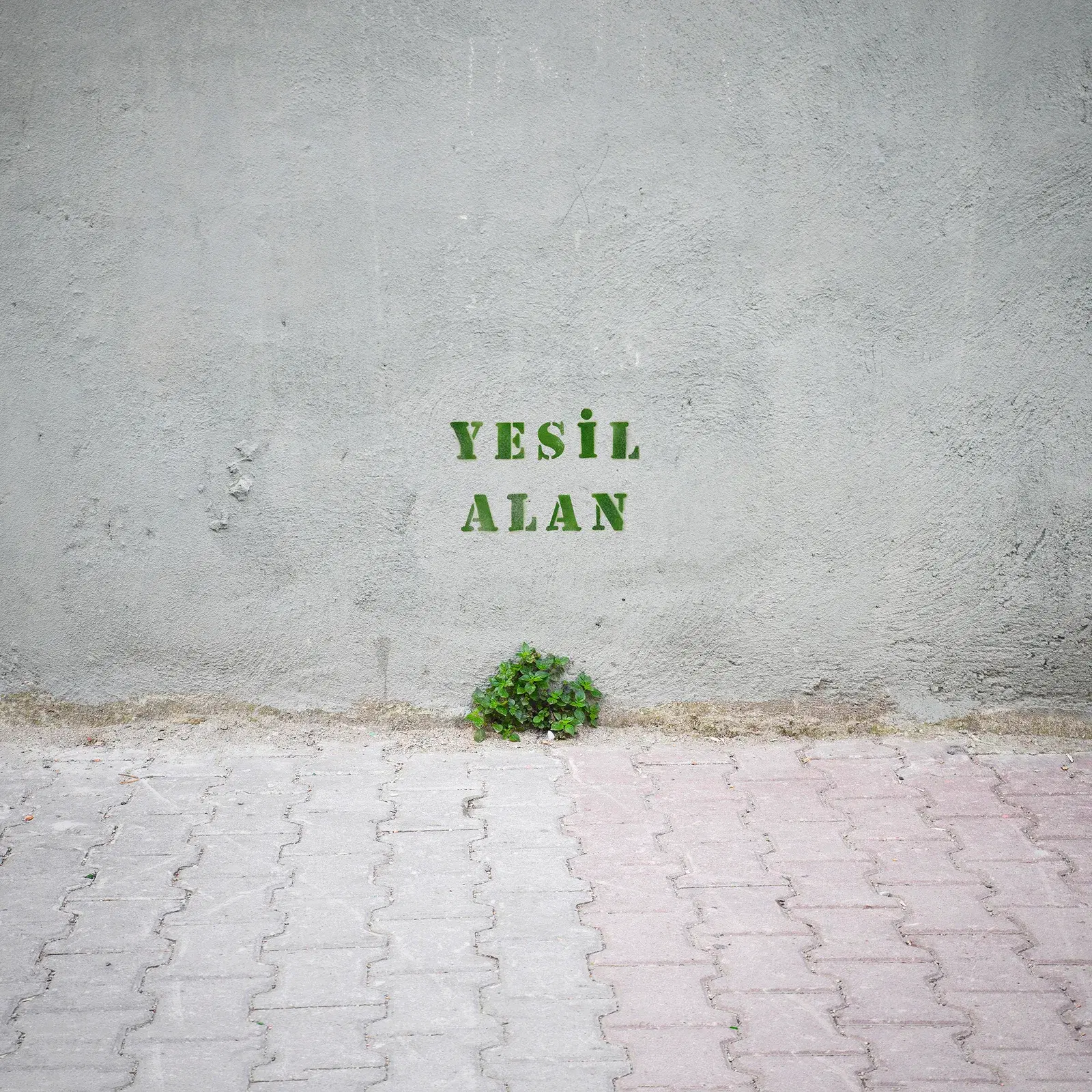 Yeşil Alan