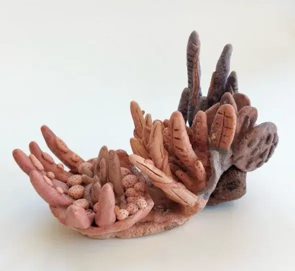 The Pink of Garden Venus III