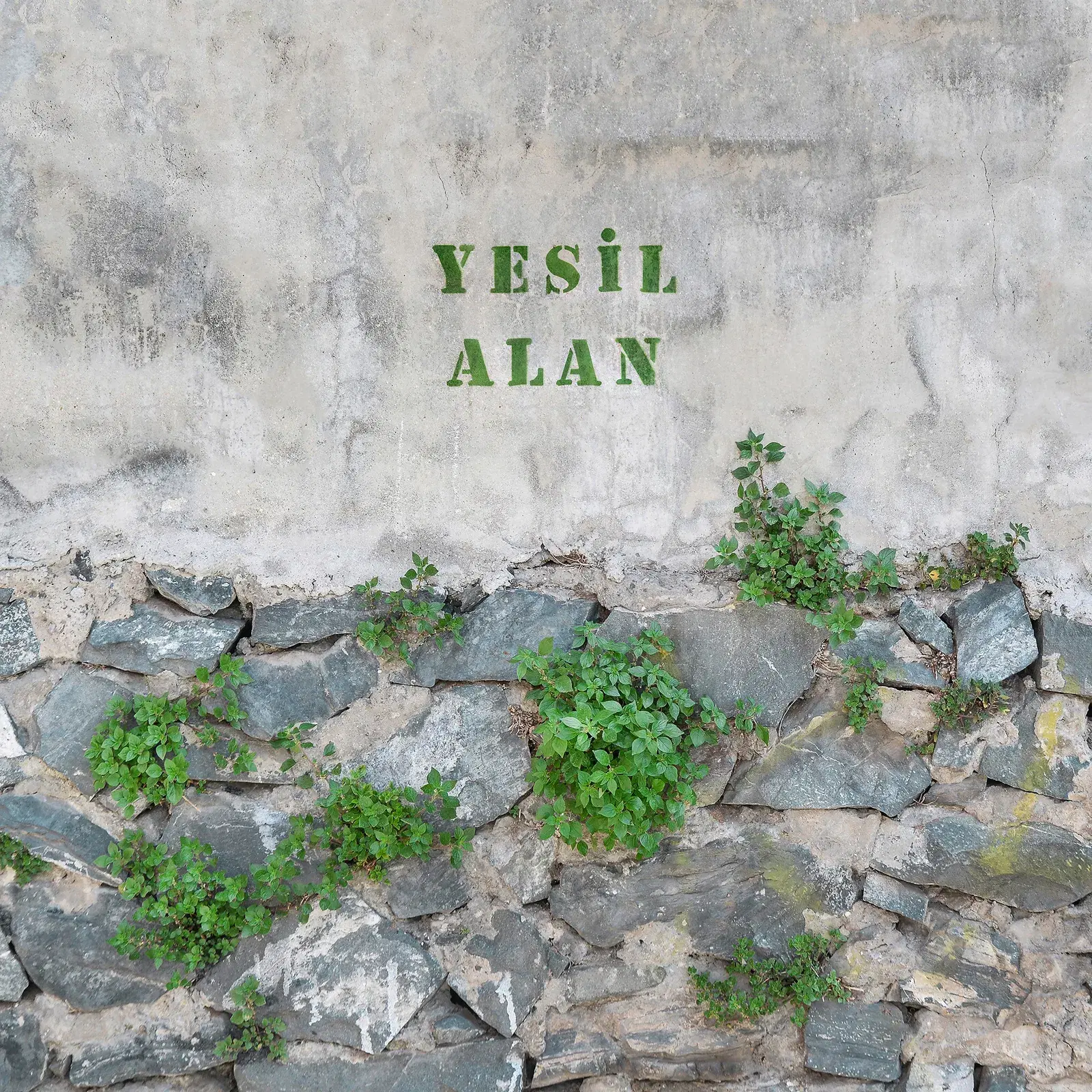 Yeşil Alan