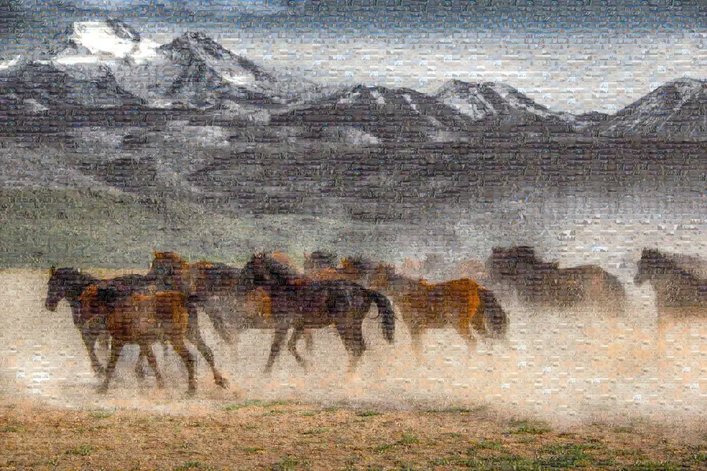 Vahşi ve Özgür 1