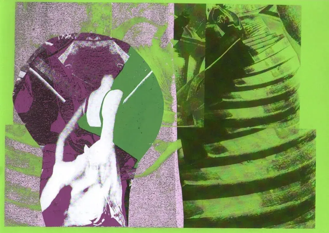 Camondotreppe